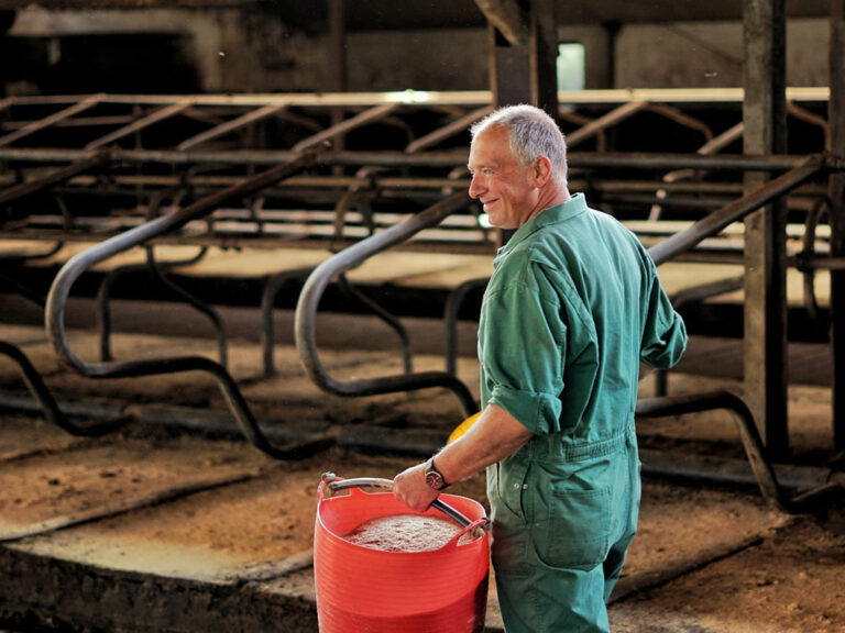 Betriebshelfer bei der Stallarbeit