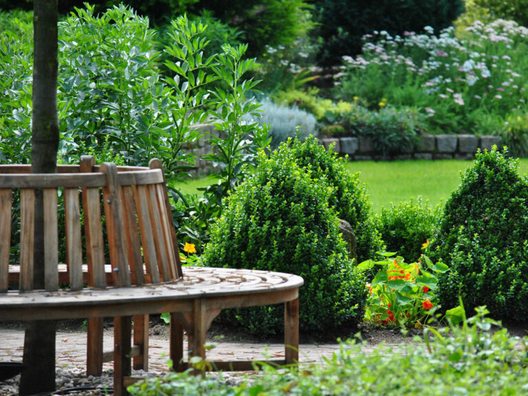 Sitzgruppe im Garten mit Palmsträuchern und Trockenmauer