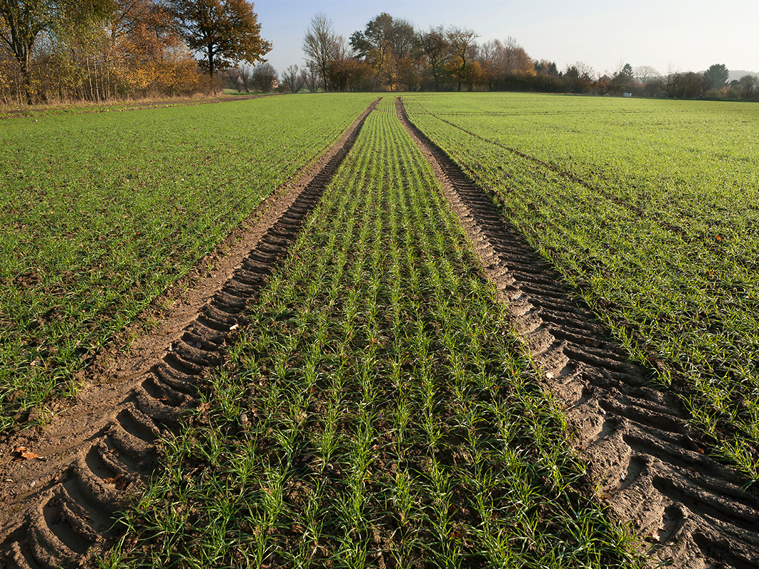 Die für Maschinenring-Arbeiten sind Anhaltswerte zur Orientierung, wie sie unter Landwirten in Westfalen-Lippe für gegenseitige Arbeitsleistungen empfohlen werden.