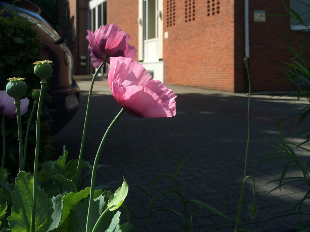 Geschäftsstelle Maschinenring BHD Lüdinghausen