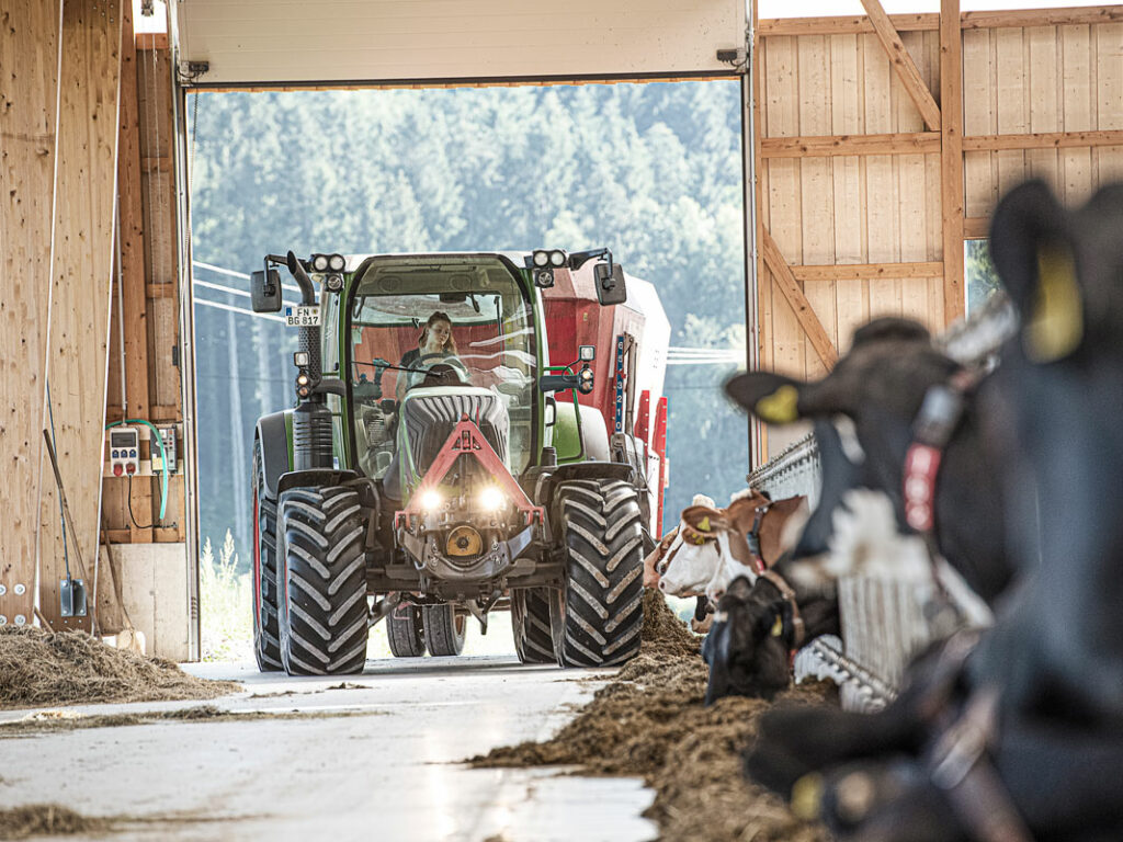 Mit Trecker und Mischwagen werden täglich die Kühe mit frischem Futter versorgt.